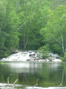 Falls by Portage to Trout