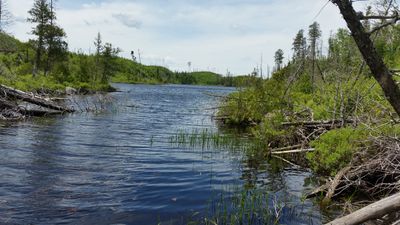 Portage into Long Island from Muskeg