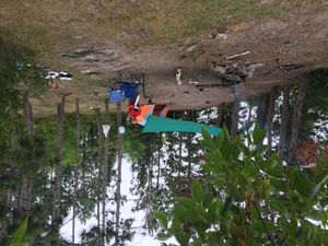 Skidway Island - campsite