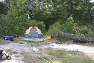LLC site 61 (#169) tent