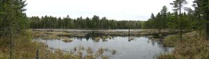 Beaver Pond on Lunetta-Hassel Portage