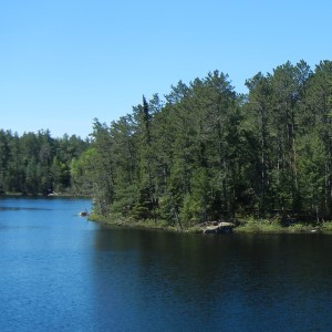 BWCA