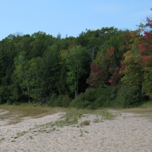 Sylvania Wilderness Area