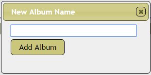 New Album Name