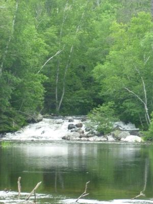 Falls by Portage to Trout