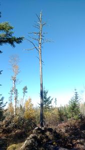 2017-10-13_14.03.13.jpg