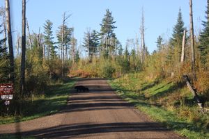 IMG_7097.JPG