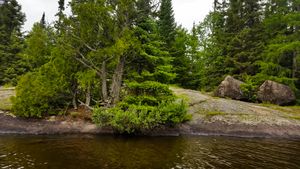 Day 3 Camp on Davis Lake shoreling