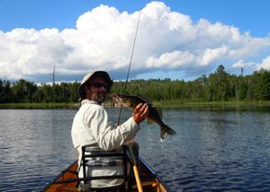 A walleye from the weeds