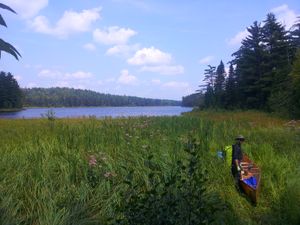 20140806_140925.jpg