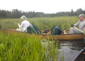 Oyster River (lower)