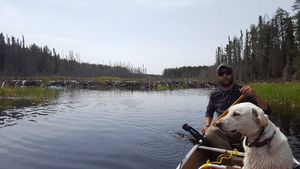 Past the beaver dam