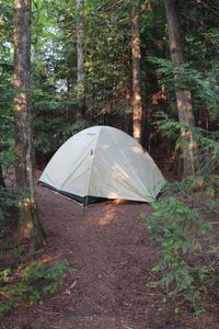 Our tent on one of several good tent pads.