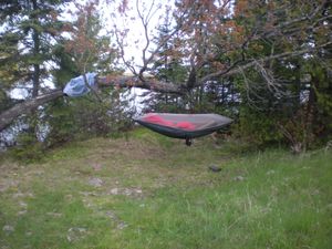 Hammock Setup