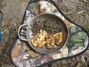 WALLEYE DINNER