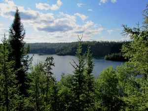Ottertrack overlook
