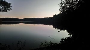Wet Lake at night