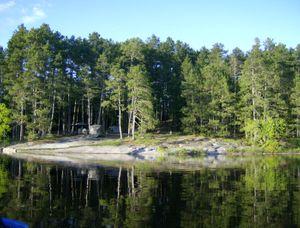 Campsite 1819