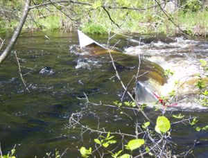 Canoe Wreck 1