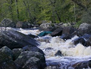 Canoe Wreck 2