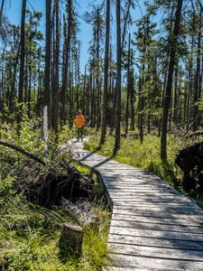 The Onnie Entry Boardwalk