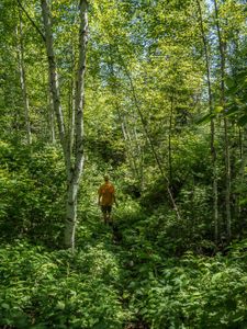 Portage between Onnie and Telescope