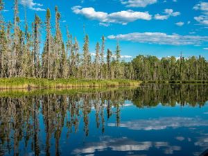 Peaceful Bay on Telescope Lake