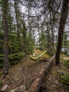 The Peninsula Site on Glenn Lake