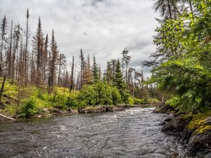 Walleye Factory into Hansen Lake