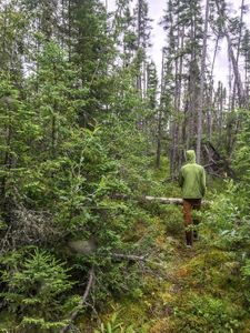 A good section on the Haven to Cyclops Portage