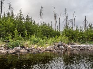 Haven to Gulch Portage