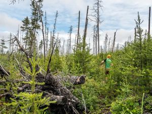 Haven to Gulch Portage
