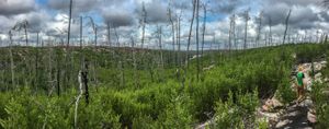 The Gulch to Jigsaw Portage Route