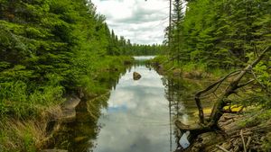 portage into Kiskadinna Lake from Davis