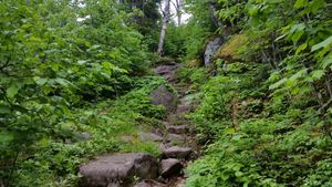 Potage #478 Steep areas