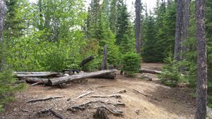 Campsite on Muskeg Lake