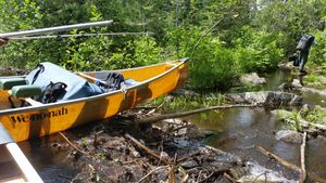 Large beaver dam portage