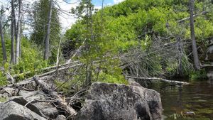 Tough Portage