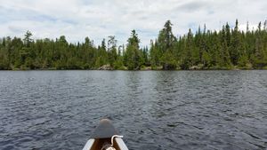 Campsite 585