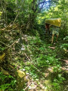 Hatchet to Douglas Lake Portage