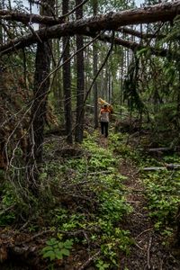 The 1km Portage from Kilburn to Upper Kilburn Lake