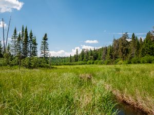 Marsh / Narrow Stream between Boomerang and Dragon
