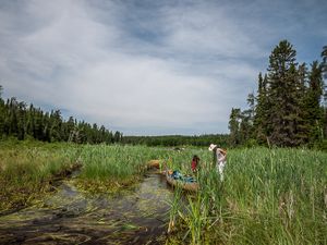 The Bog between Nutria and Mexican Hat Lake