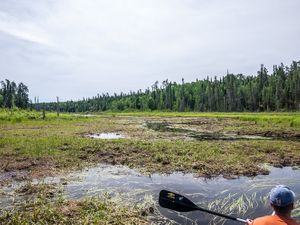 Bog between Nutria and Mexican Hat Lakes