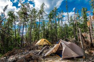 Rustic Camping on Lunch Lake