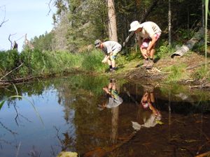 Catching tadpoles