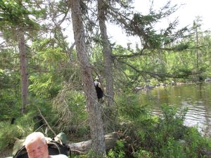 Unnamed lake west of Isabella near Campsite WJ