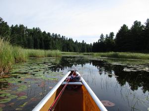 Stream between Noname lake and Isabella