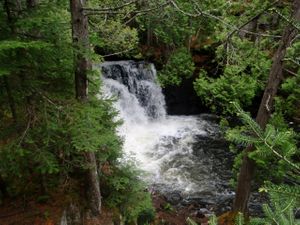 Johnson Falls 2013