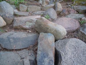 Landing steps